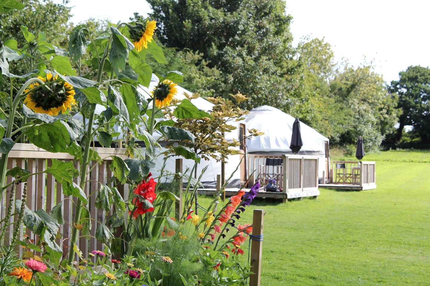 Beautiful Yurts in Heart of Cornwall, England