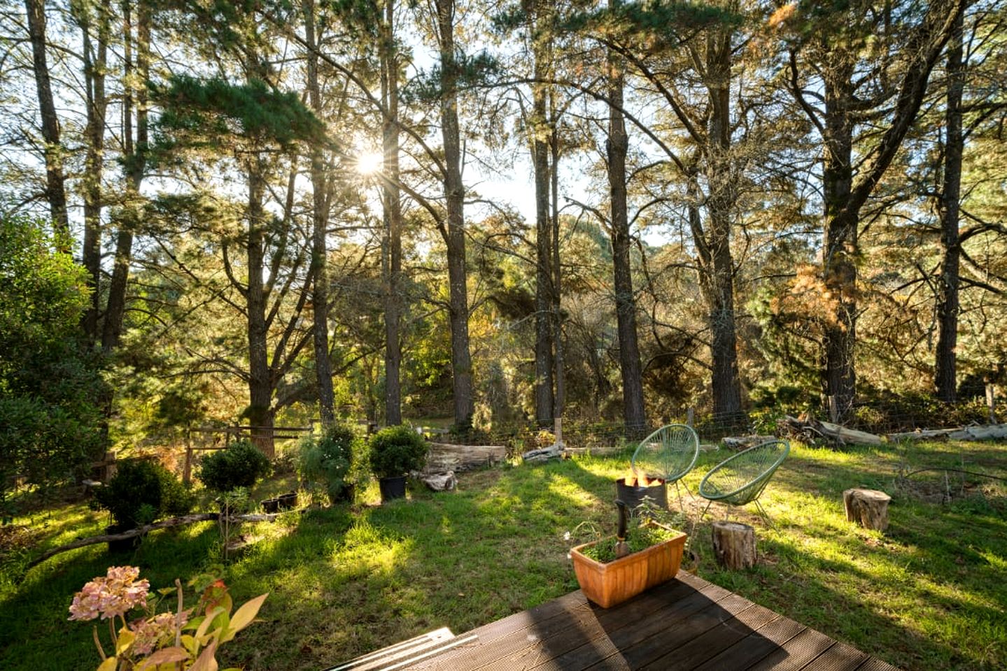 Beautifully Design Tiny House in Daylesford, Victoria