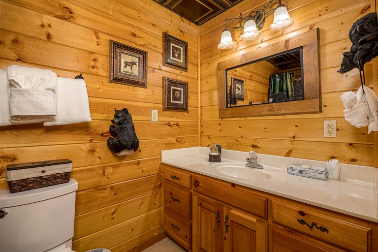 Cabins (United States of America, Sevierville, Tennessee)