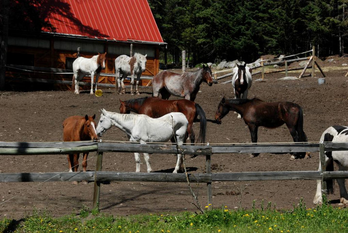 Idyllic Vacation Rental on a Ranch in Lone Butte, British Columbia