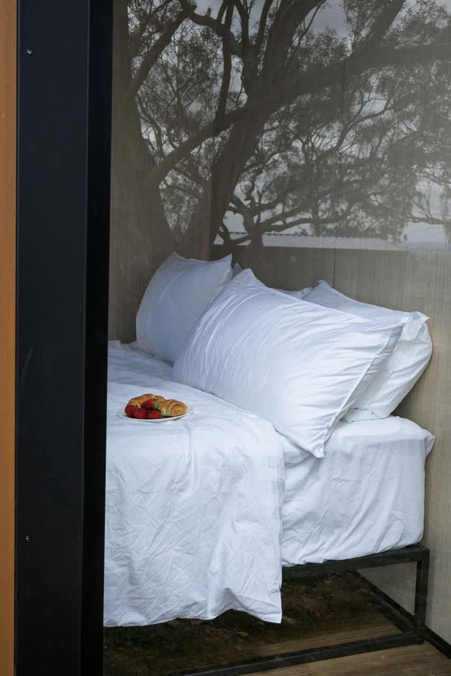 Awesome Secluded Tiny House with Barbecue in Good Hope, New South Wales