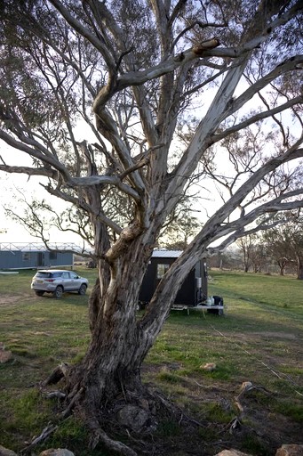Vacation Rentals (Australia, --, --)