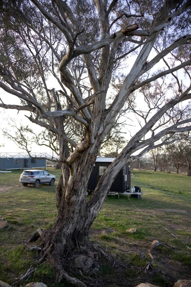 Countryside Tiny House with BBQ and Abundant Bushland in New South Wales
