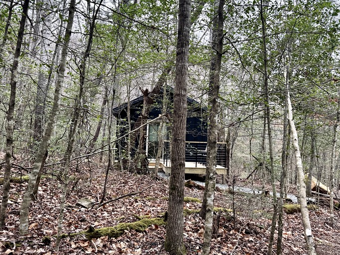 Bed & Bear 476 Cozy Cabin in Pisgah Forest, Cabins, Transylvania