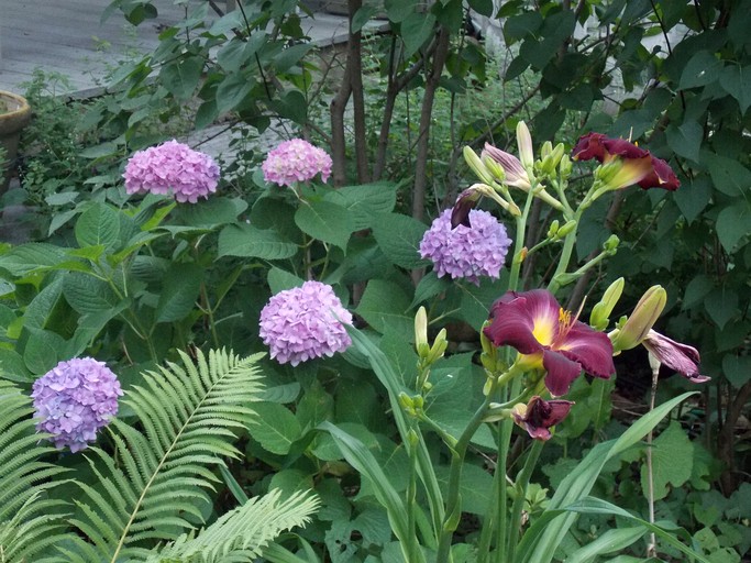 Vacation Rentals (United States of America, Elkhorn, Wisconsin)