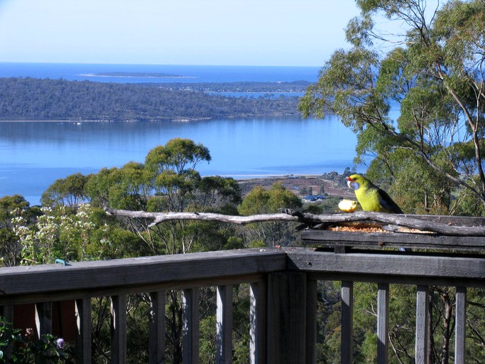 Cabins (Binalong Bay, Tasmania, Australia)