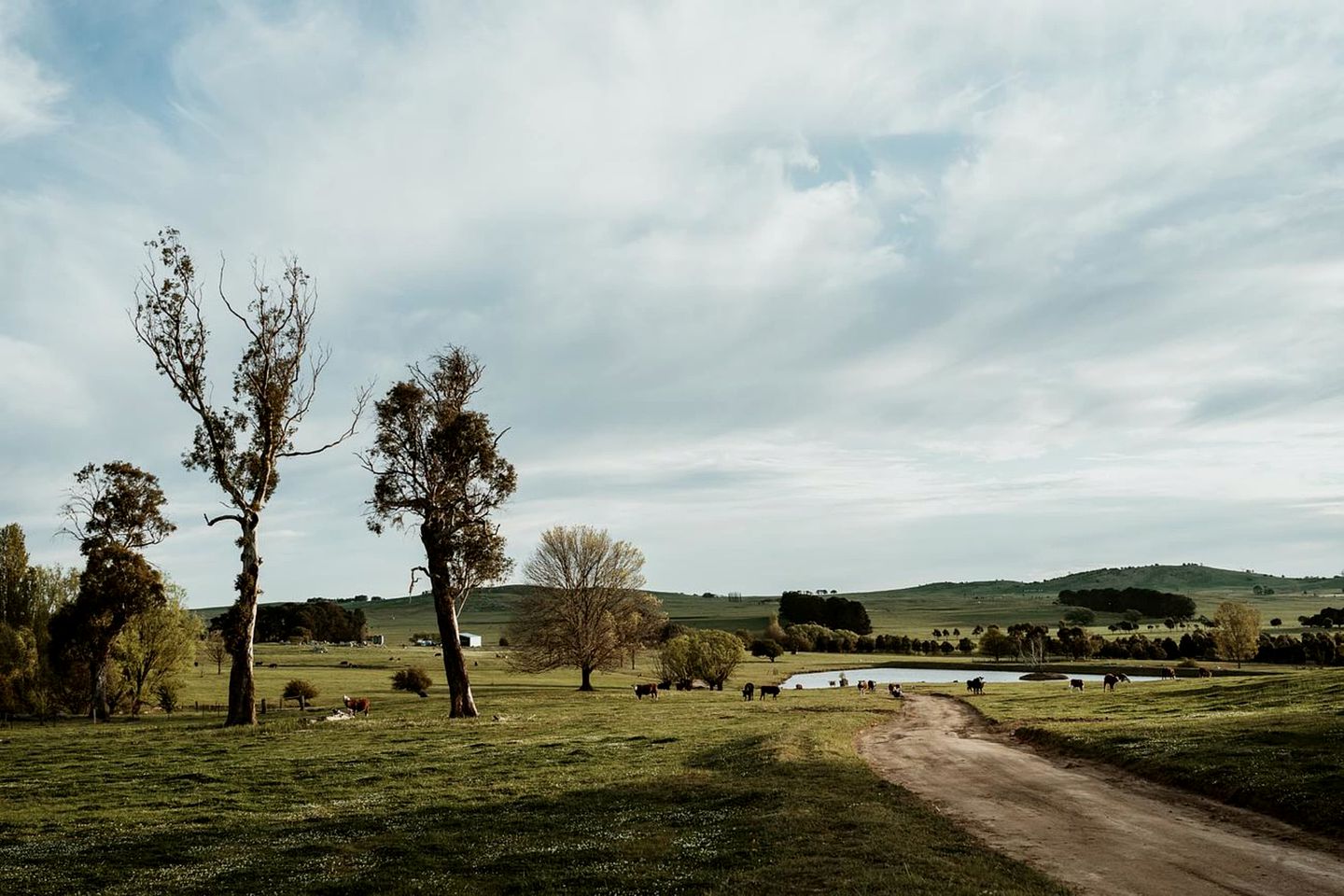 Bedervale Tiny in in Braidwood, New South Wales