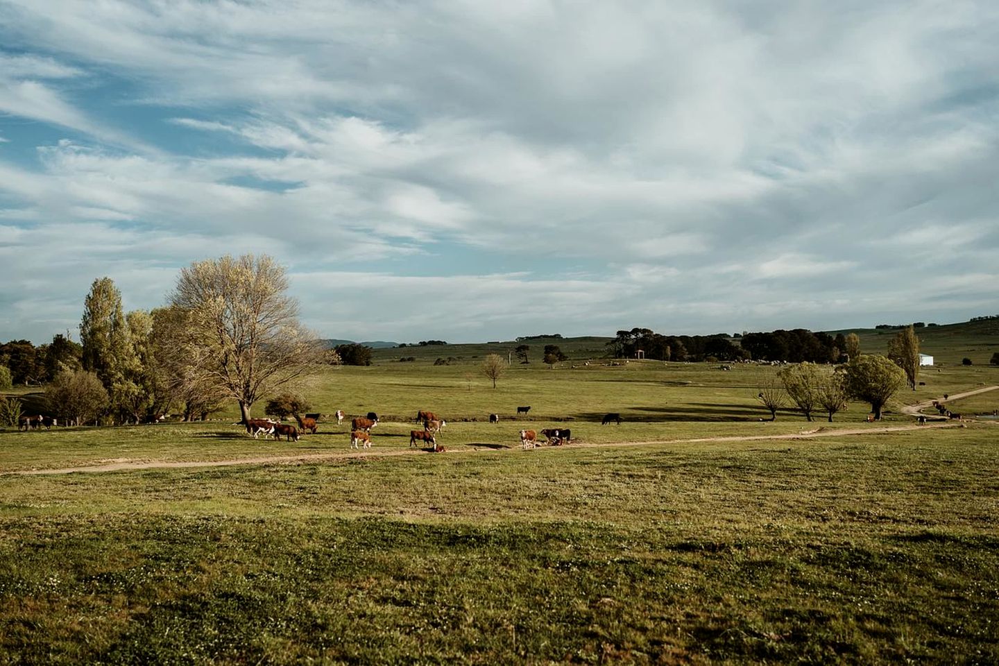Bedervale Tiny in in Braidwood, New South Wales