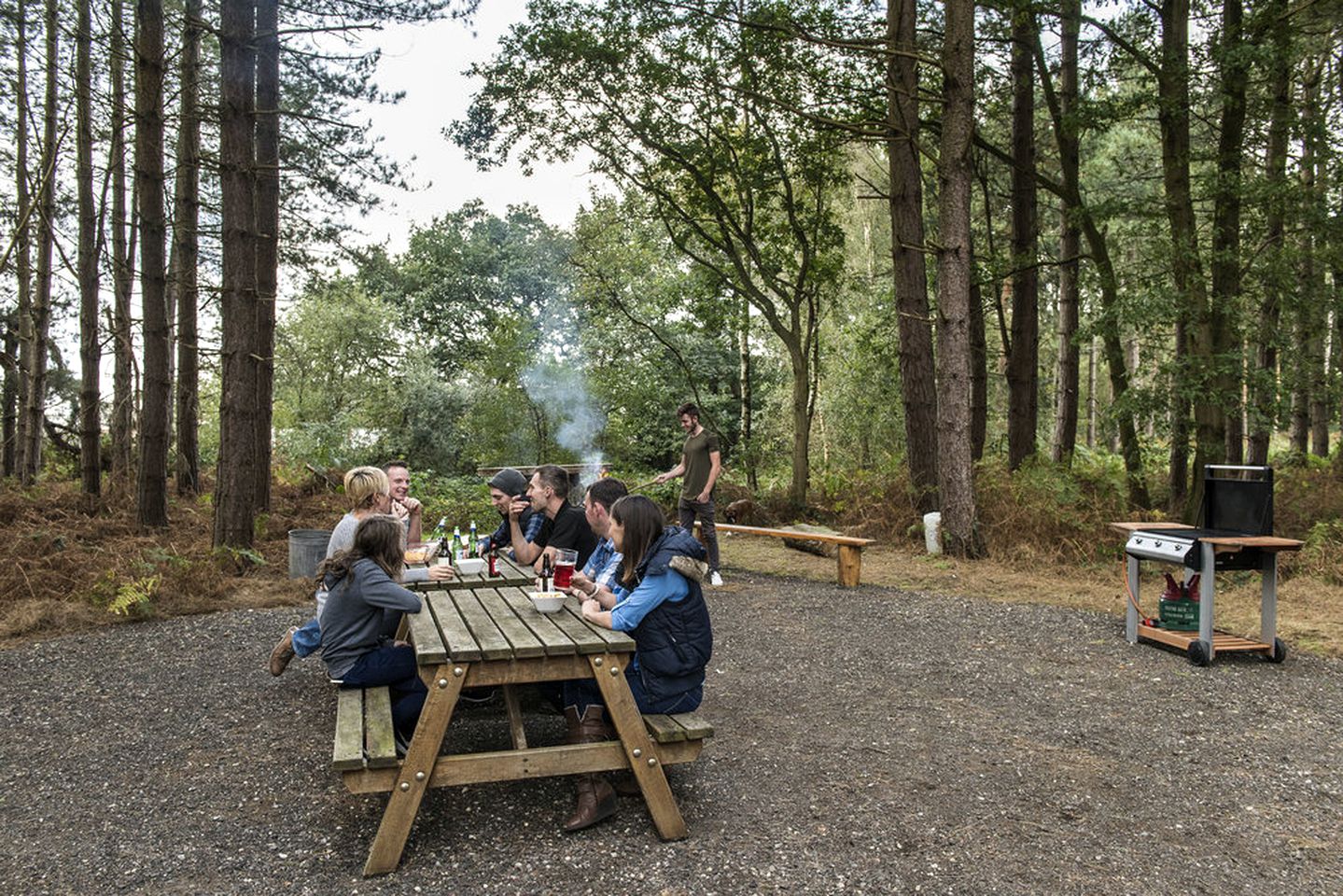 Unique Campervan Rental with Japanese-Style Sleeping Pods in England