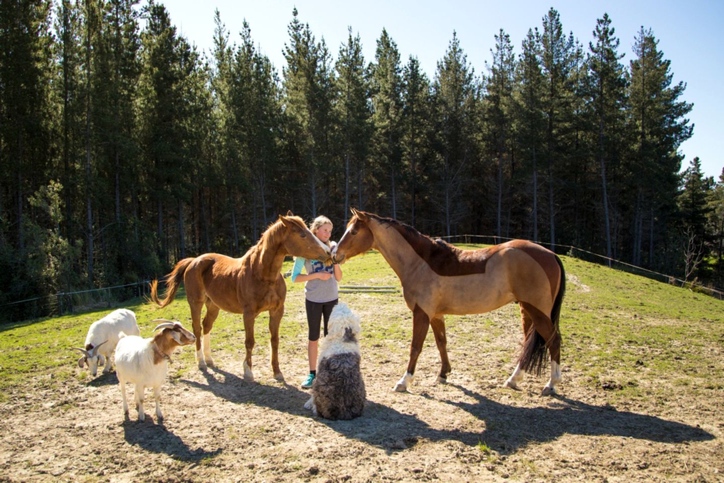 Deluxe Cabin Rental in Stunning Setting near Tasman, South Island