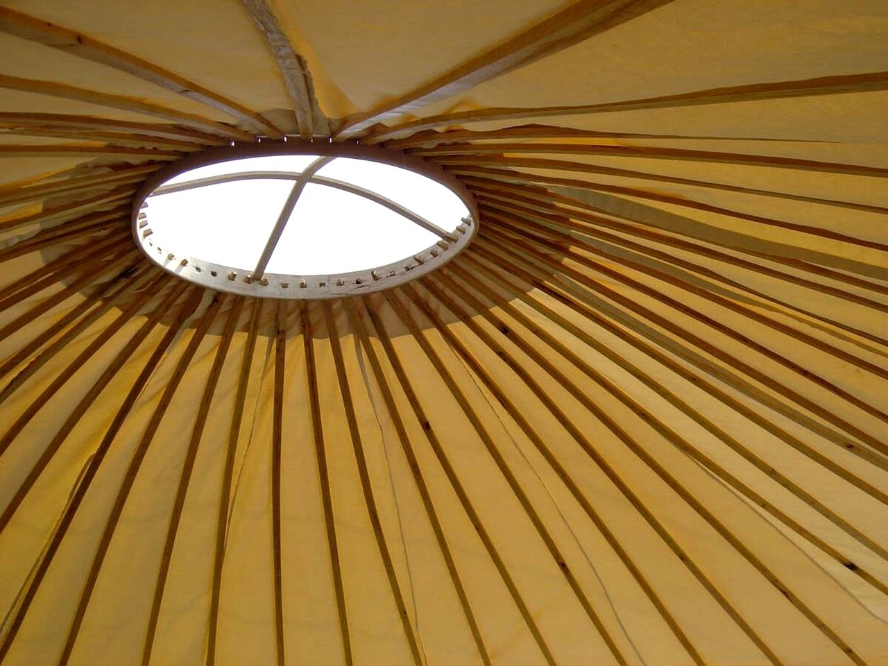 Hidden Meadow Retreat with Handcrafted Yurt in England, United Kingdom
