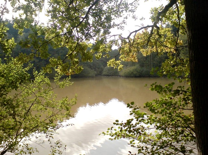 Yurts (United Kingdom, Haslemere, England)