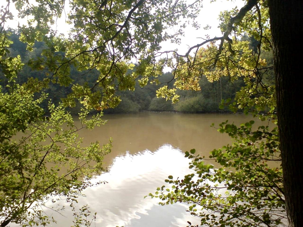 Hidden Meadow Retreat with Handcrafted Yurt in England, United Kingdom
