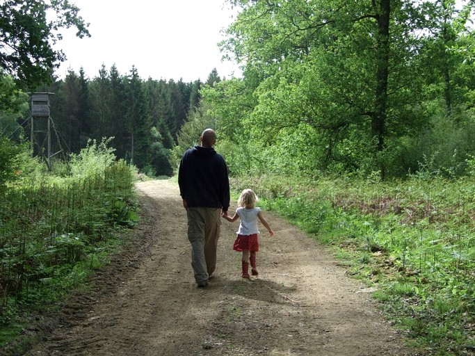 Yurts (United Kingdom, Haslemere, England)