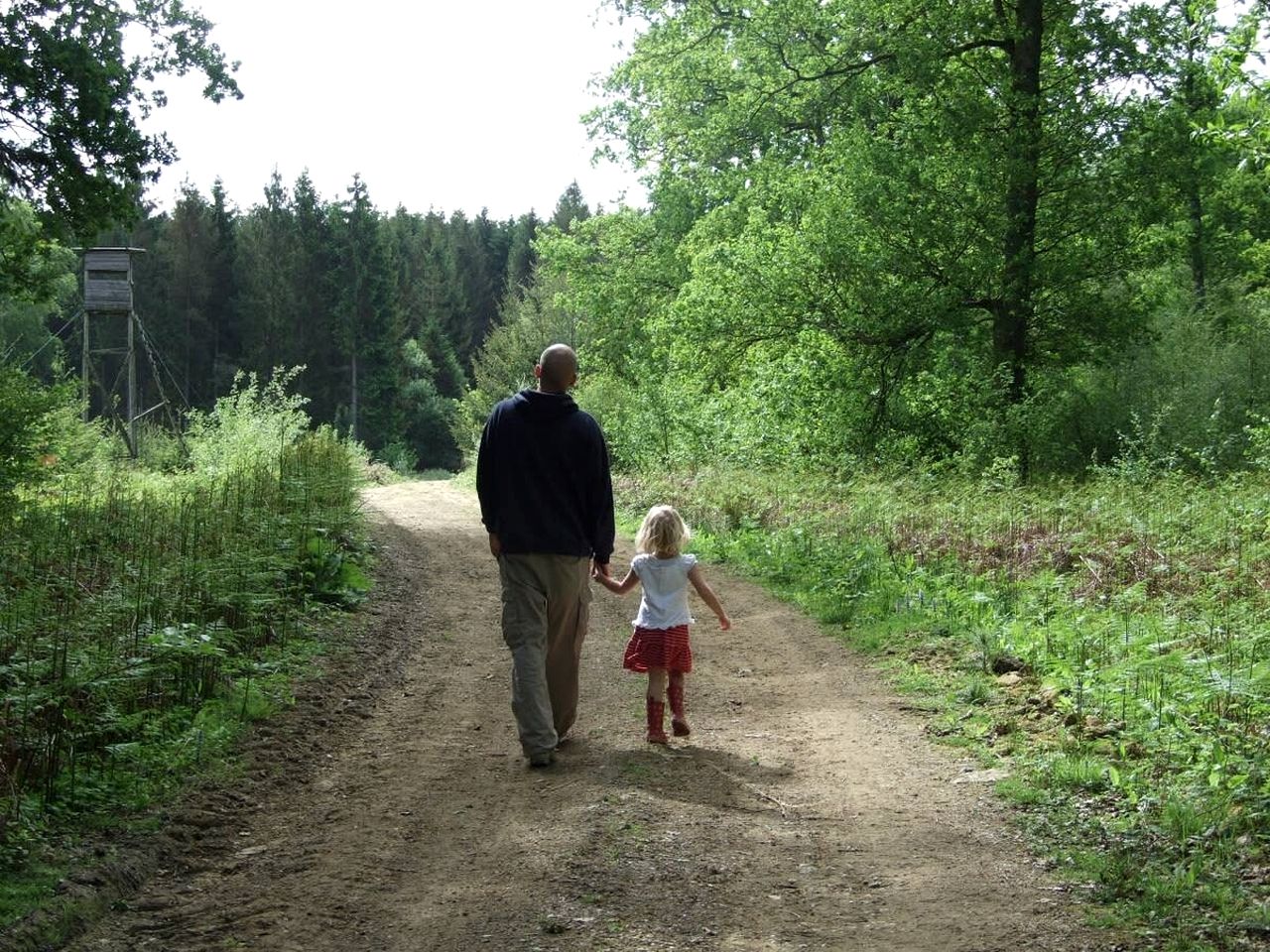 Hidden Meadow Retreat with Handcrafted Yurt in England, United Kingdom