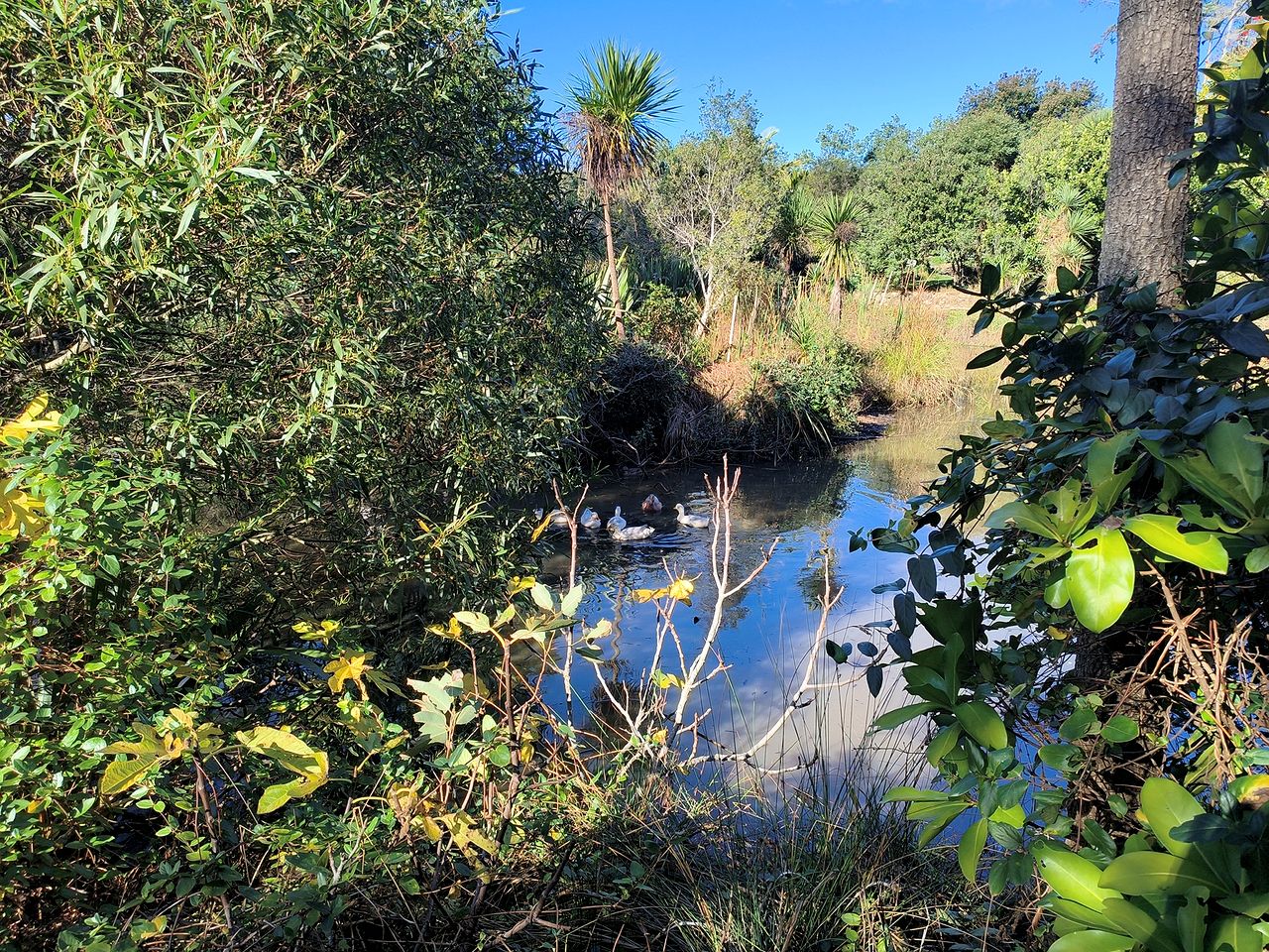Secluded Glamping Retreat with Private Wine Barrel Bathroom near Oneroa, Waiheke Island
