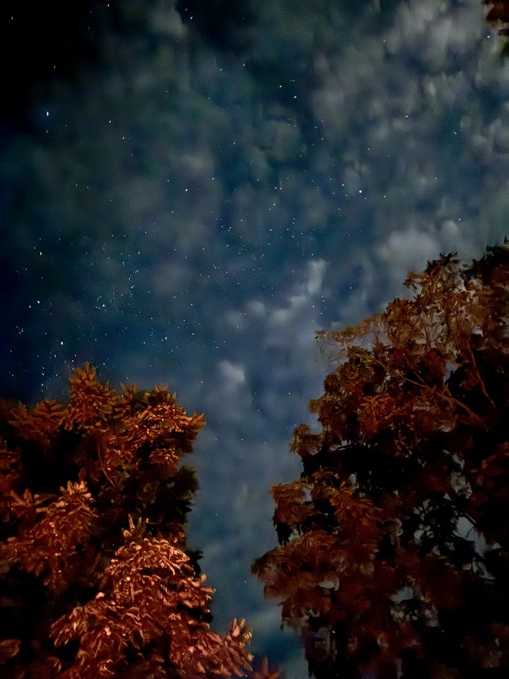 Luminous Glamping Bell Tent Retreat Near Sinking Creek, Missouri