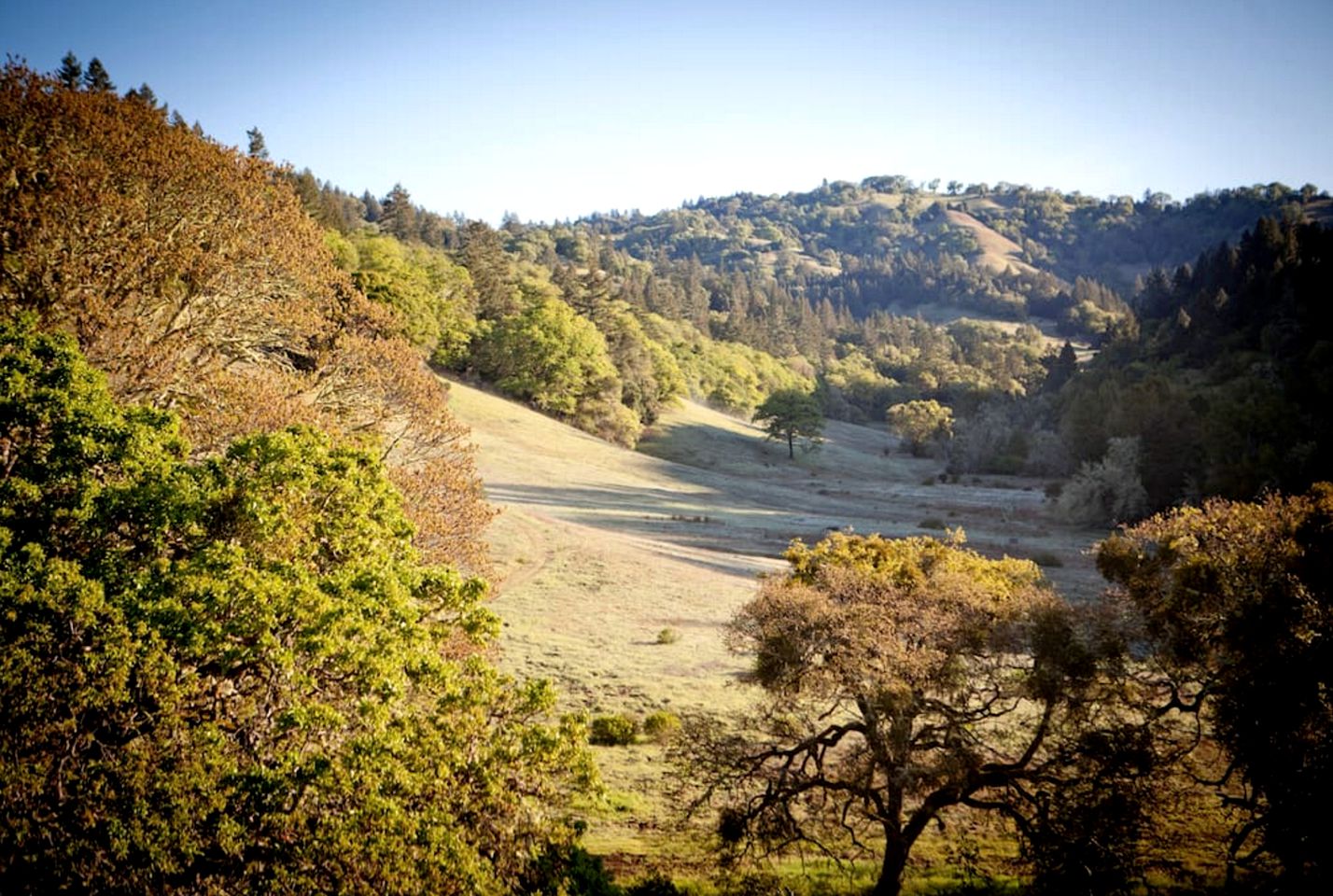 Charming Camping Cabin with a Swimming Pond in Anderson Valley, California