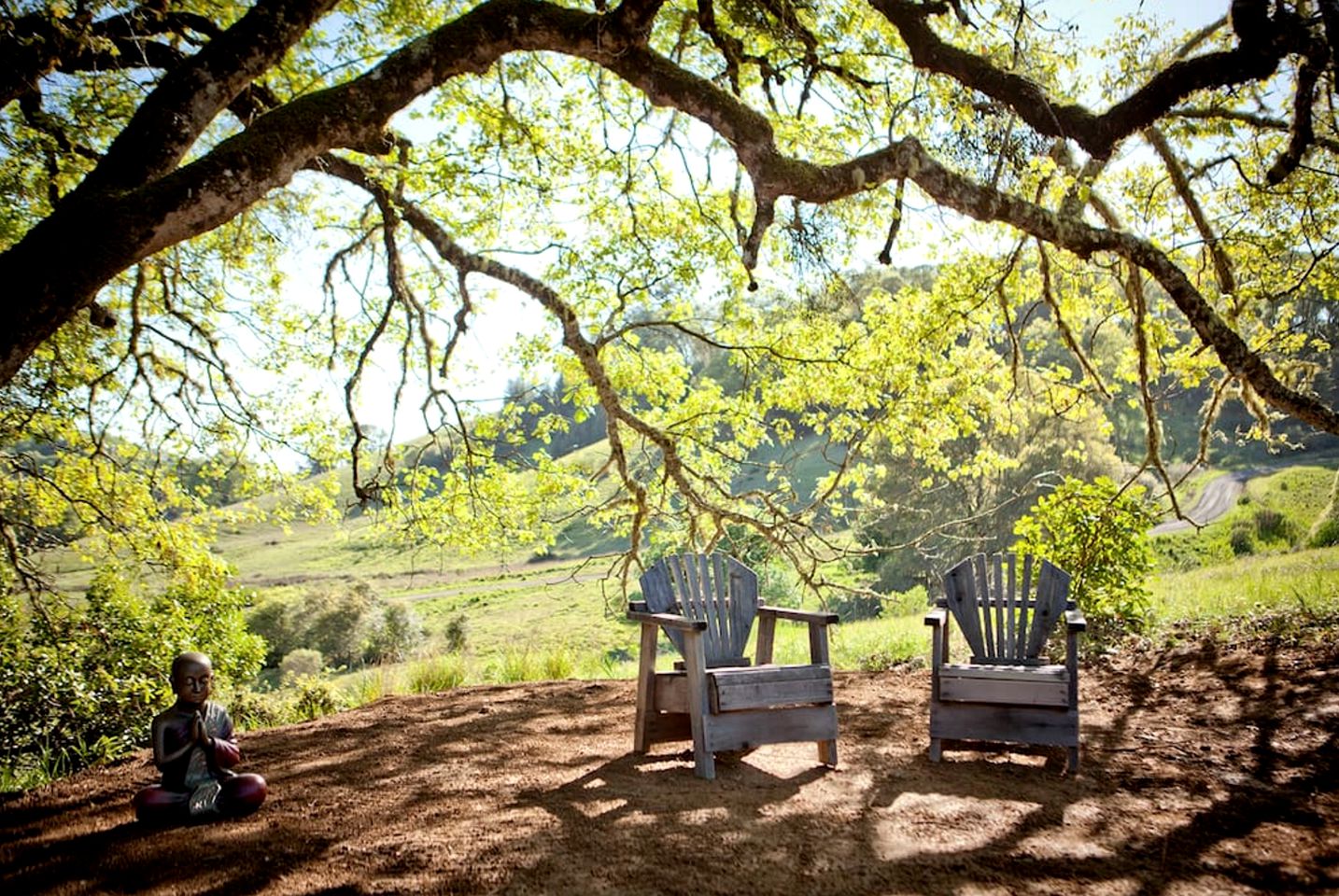 Charming Camping Cabin with a Swimming Pond in Anderson Valley, California