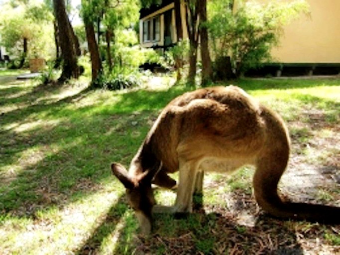 Cottages (Margaret River, Western Australia, Australia)