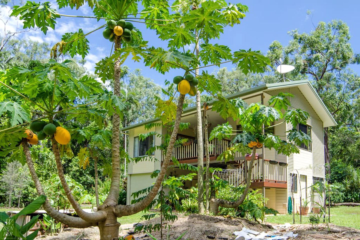Bellarose Guest House, Nature Lodges, Cow Bay, Australia Glamping Hub