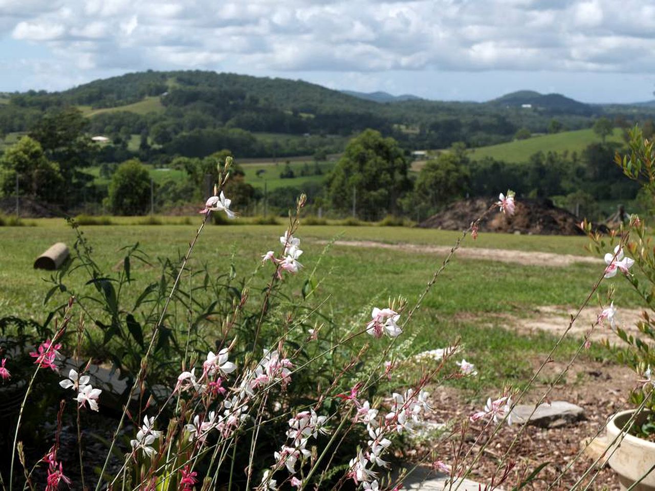 Cozy Bed and Breakfast Accommodation in the Country near Taree, New South Wales