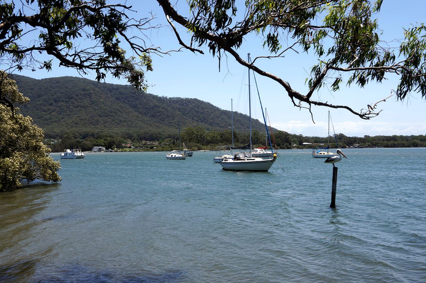 Cozy Bed and Breakfast Accommodation in the Country near Taree, New South Wales