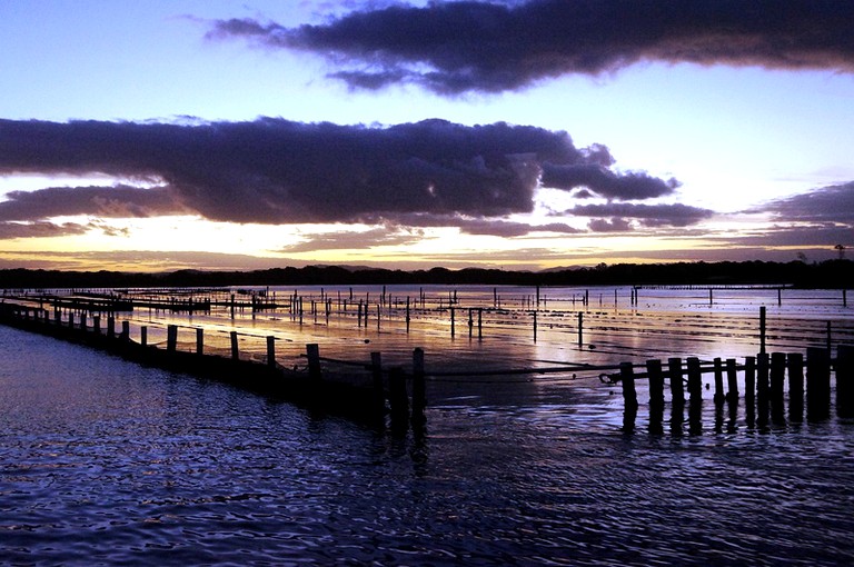 Nature Lodges (Wingham, New South Wales, Australia)