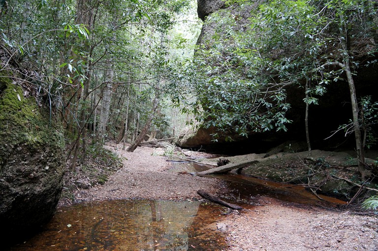 Nature Lodges (Wingham, New South Wales, Australia)