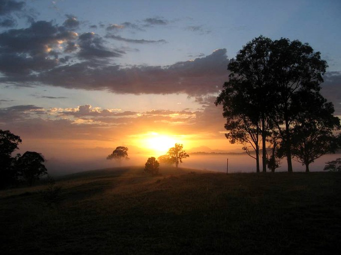 Nature Lodges (Wingham, New South Wales, Australia)