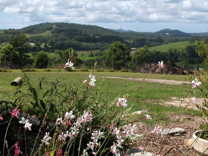 Nature Lodges (Wingham, New South Wales, Australia)
