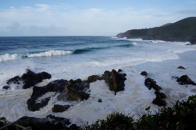 Nature Lodges (Wingham, New South Wales, Australia)