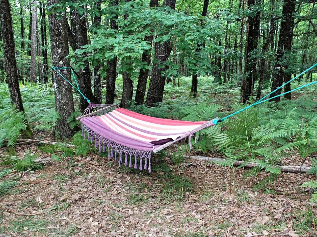 Adorable Bell Tent for a Family Holiday near Châtellerault, France