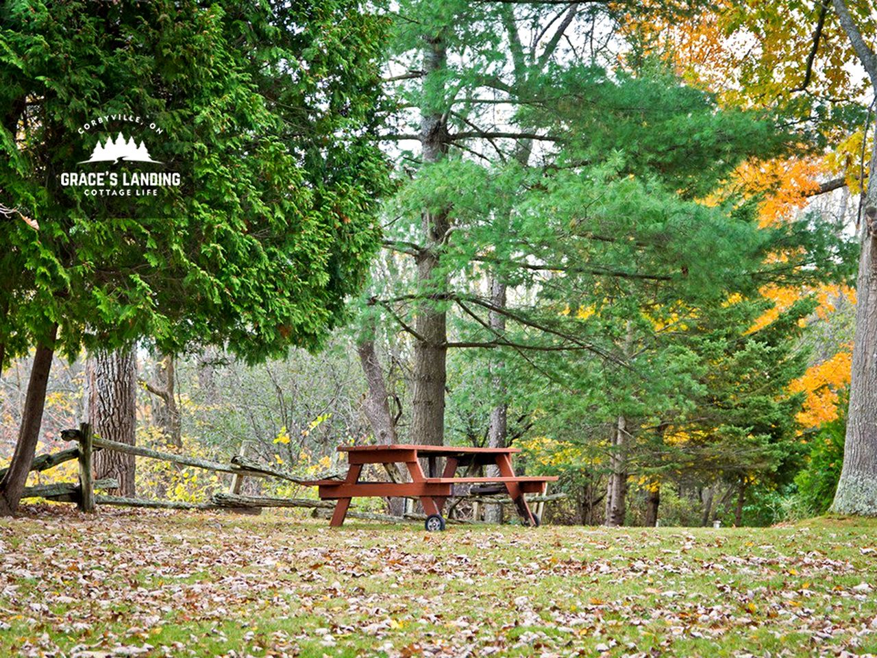 Beautiful Cottage with Fire Pit and Barbecue in Belleville, Ontario