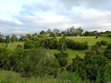 Secluded Cabin Rental Hidden in the Forest in Bellthorpe, Queensland - Photo 2