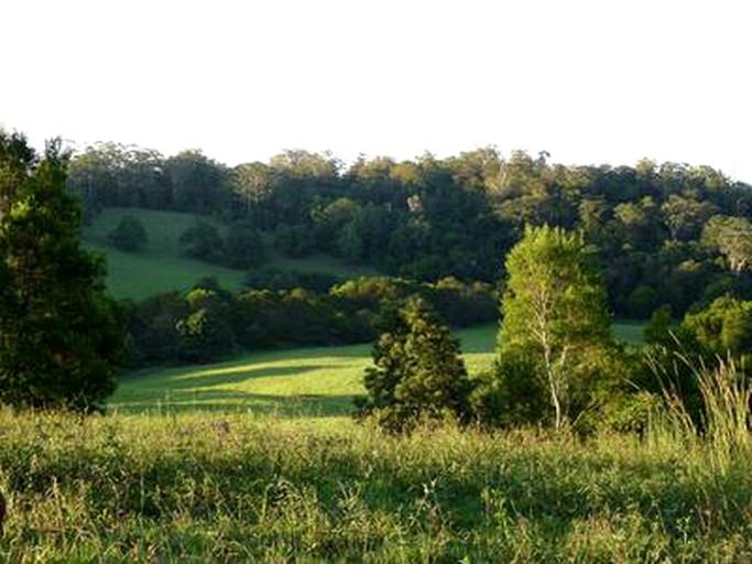 Cabins (Bellthorpe, Queensland, Australia)