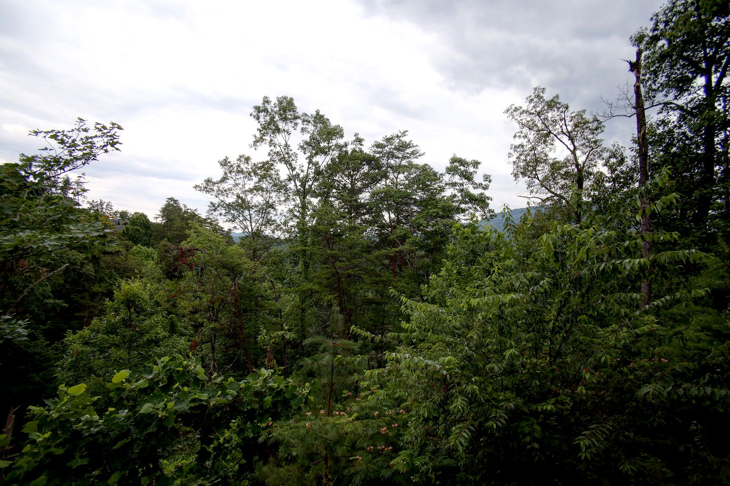 Stunning Rustic Cabin with Outdoor Pool, Hot-tub and Pool Table in Sevierville, Tennessee