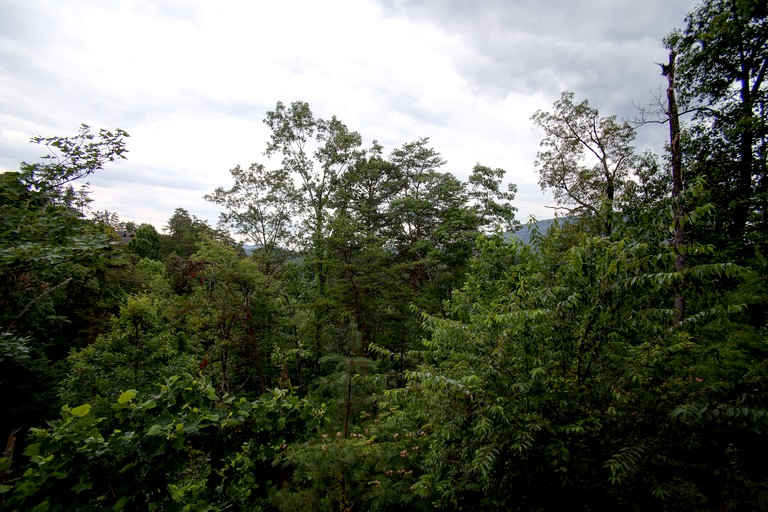 Cabins (United States of America, Sevierville, Tennessee)