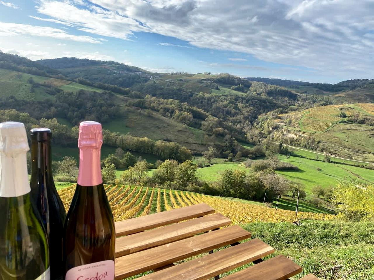 Charming Panoramic Tiny Home with Private Vineyard Views Near Boyeux-Saint-Jérôme | France