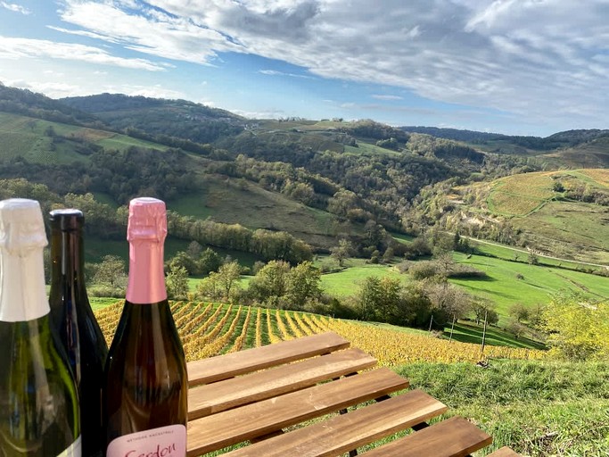 Vacation Rentals (France, --, Auvergne-Rhône-Alpes)