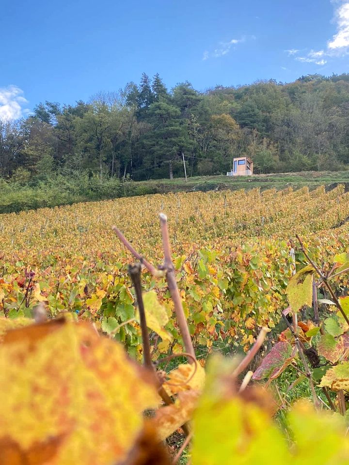 Charming Panoramic Tiny Home with Private Vineyard Views Near Boyeux-Saint-Jérôme | France