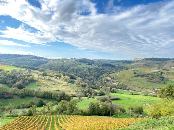 Vacation Rentals (France, --, Auvergne-Rhône-Alpes)