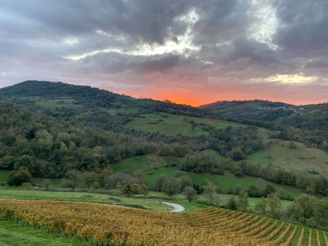 Charming Panoramic Tiny Home with Private Vineyard Views Near Boyeux-Saint-Jérôme | France