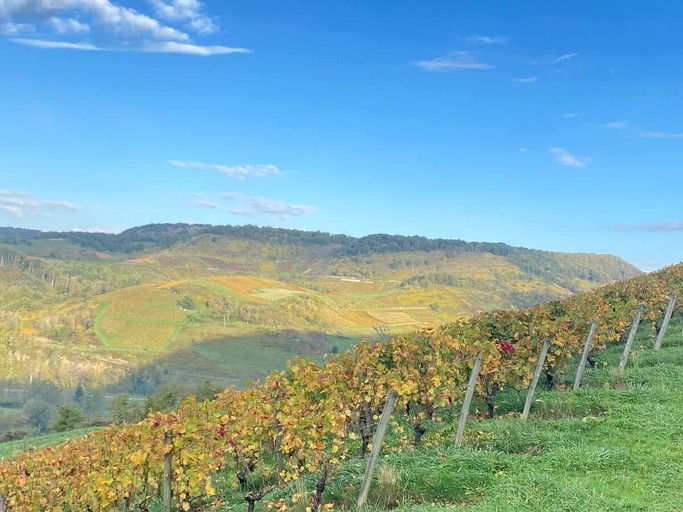 Vacation Rentals (France, --, Auvergne-Rhône-Alpes)