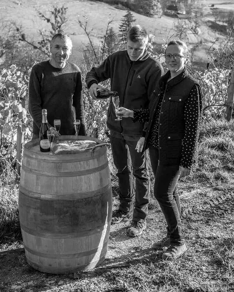 Charming Panoramic Tiny Home with Private Vineyard Views Near Boyeux-Saint-Jérôme | France