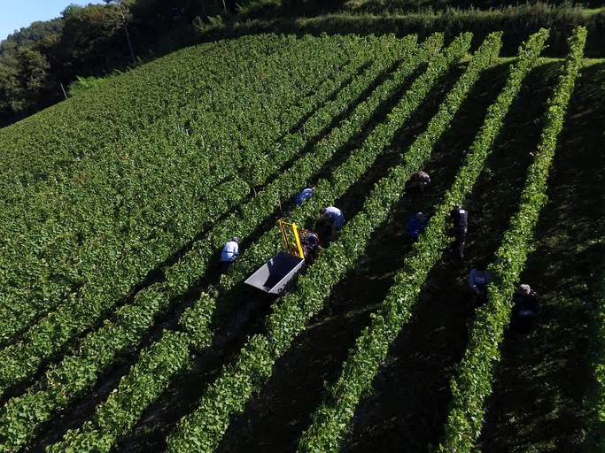 Vacation Rentals (France, --, Auvergne-Rhône-Alpes)