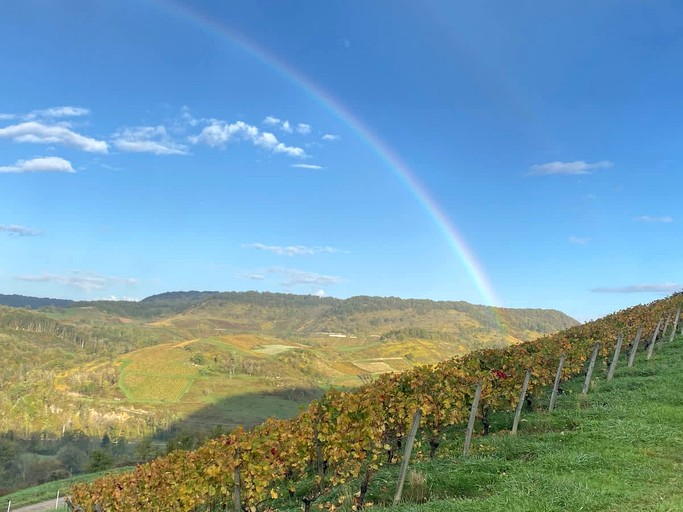 Vacation Rentals (France, --, Auvergne-Rhône-Alpes)