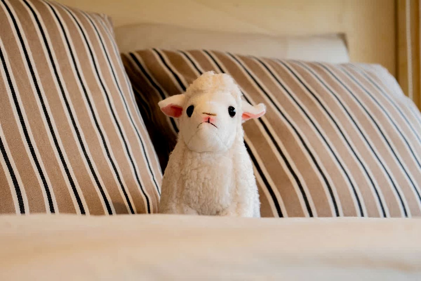 Charming Panoramic Tiny Home with Private Vineyard Views Near Boyeux-Saint-Jérôme | France