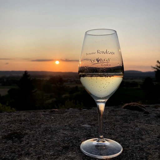 Vacation Rentals (France, --, Auvergne-Rhône-Alpes)