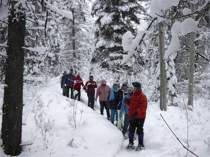 Cabins (Eustis, Maine, United States)